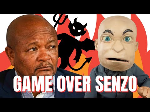 Witness E ends Senzo Mchunu (via Zoom) | Madlanga explained