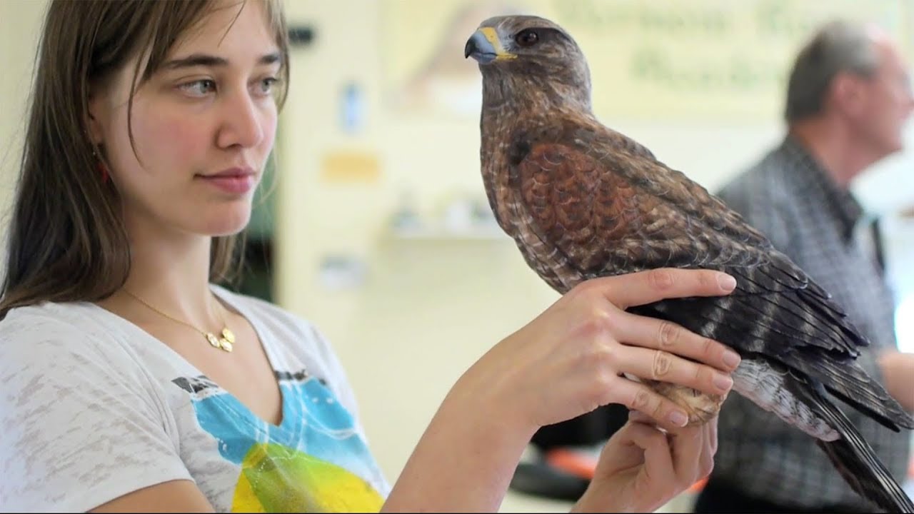 Floyd Scholz Wood Carving Courses