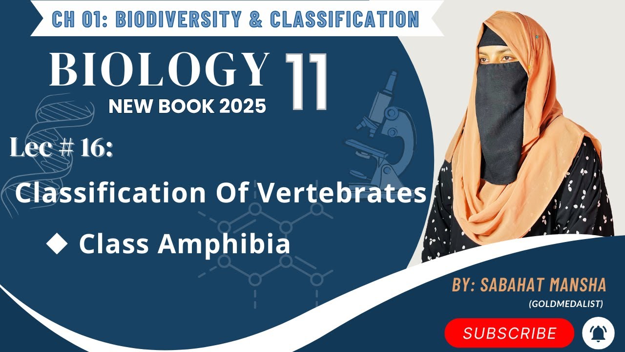 Class Amphibia | Classification Of Vertebrate | Chapter 1 | Lecture 16 | Class 11 Biology New Book