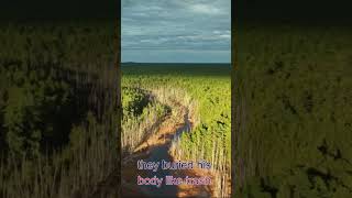 An Evil Plot with a Deadly Outcome