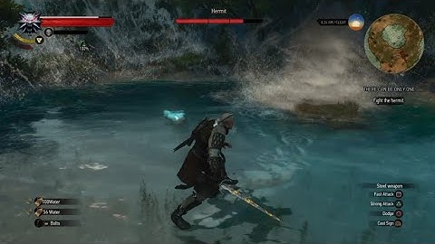 THERE CAN BE ONLY ONE - The Witcher 3: Wild Hunt – Game of the Year Edition_