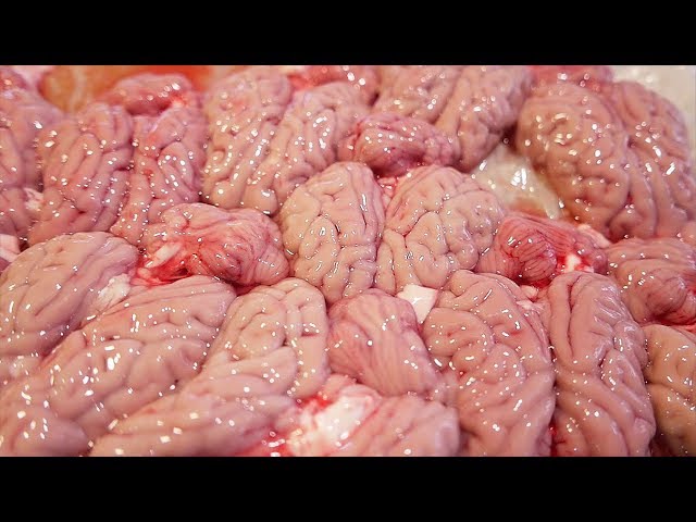 Taiwanese Street Food - PIG BRAIN Bacon Cheese Pork Sausage Taiwan