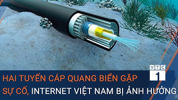 Hai tuyến cáp quang biển gặp sự cố, đường truyền Internet Việt Nam bị ảnh hưởng | VTC1