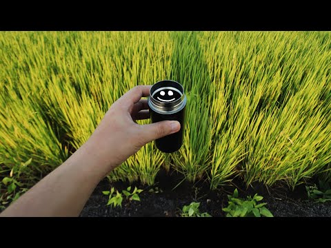 إزاي تبدأ السنة الدراسية صح 