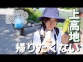 【上高地】大正池の朝靄を見て、田代湿原を散策！大正池〜ウエストン碑〜河童橋コースでソフトクリーム食べる。