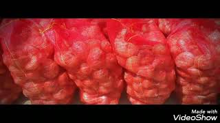 Alshams Company For General Import And Export