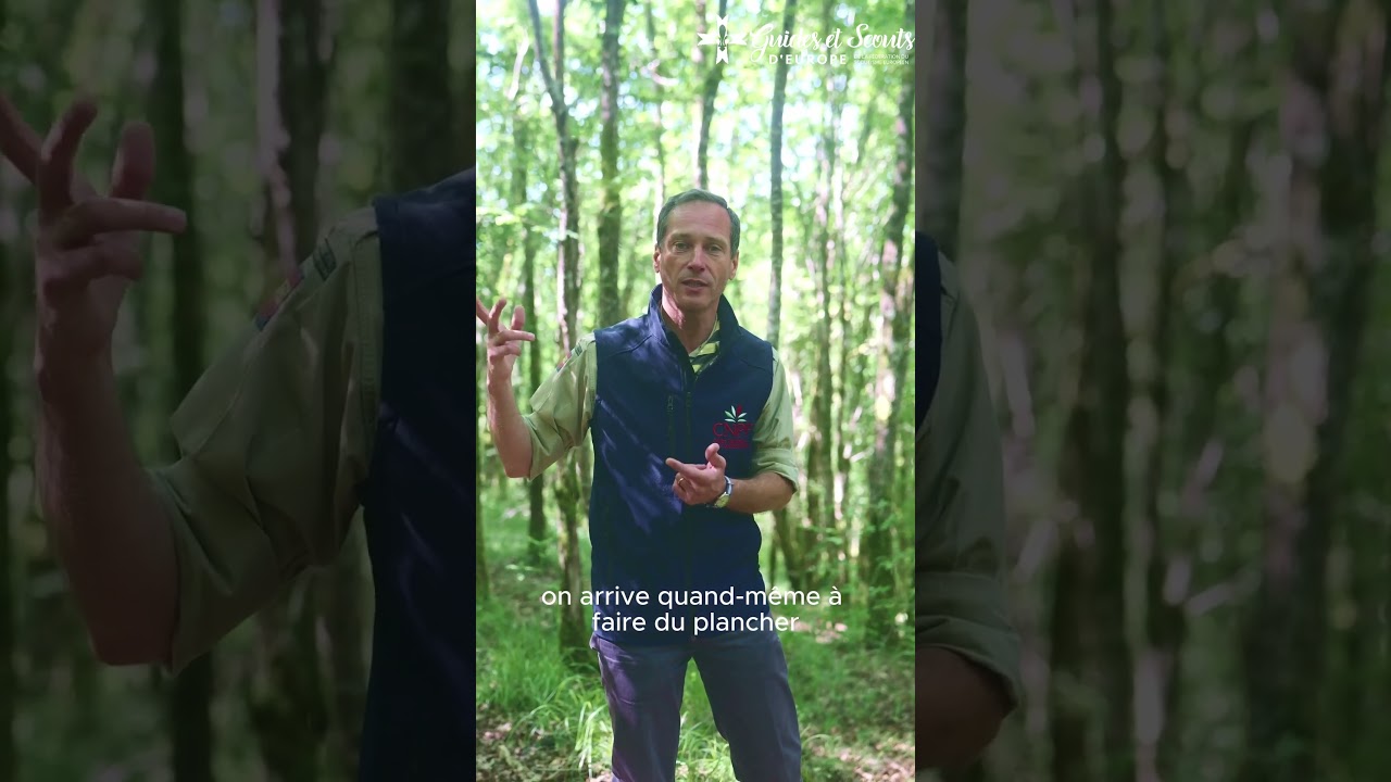« Les hachettes dans les arbres ? ON ARRÊTE » - Episode 1/4 Les conseils de Vincent