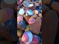 جولة في شاطئ الصدفات مستغانم صدفة Coquillages Sea Shell قران كريم Quran Beach بحر 