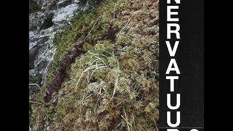 NERVATUUR - II [FULL ALBUM | KAT 011]