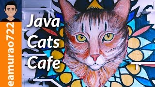 Celebrity Java Cats Cafe -  Coffee, Comestibles, Kittens, and Cats - Atlanta Net Worth