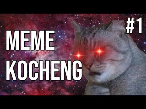 kocheng-oren-bar-bar!-meme-kucing-#1