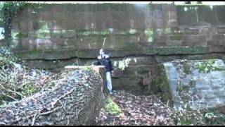 Perception Opening 2