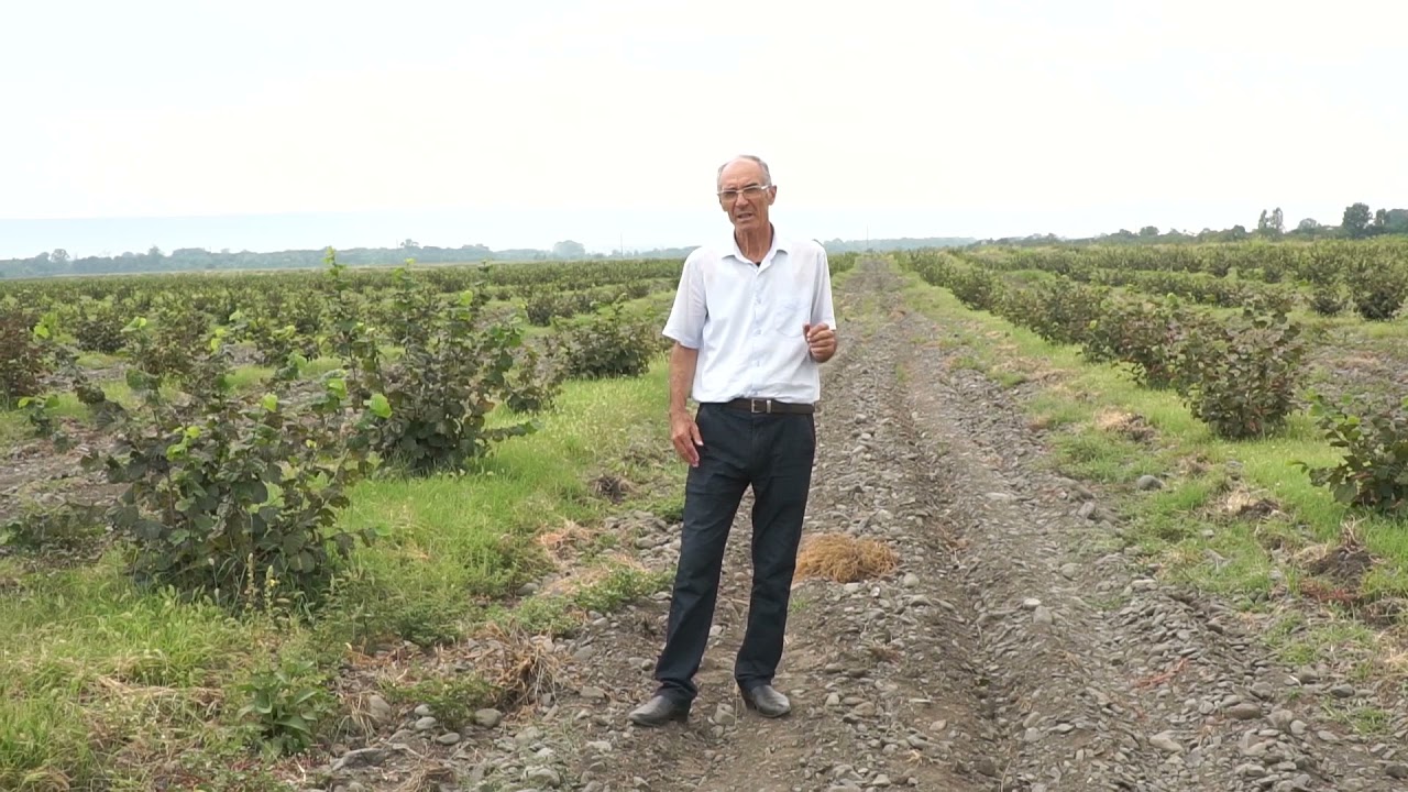 Baglarin salinmasi ve erazinin secilmesi