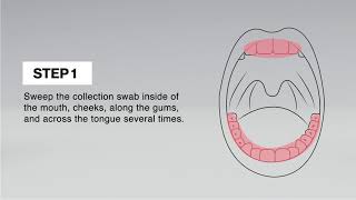 Multi-Drug Saliva Test Cup Demo - Rapid Response®