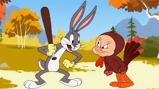 Tricking Your Bullies To Wear A Turkey Suit? Looney Tunes Cartoons Cartoon Network Asia