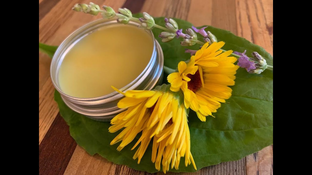 How to make your own healing Calendula salve and chapstick