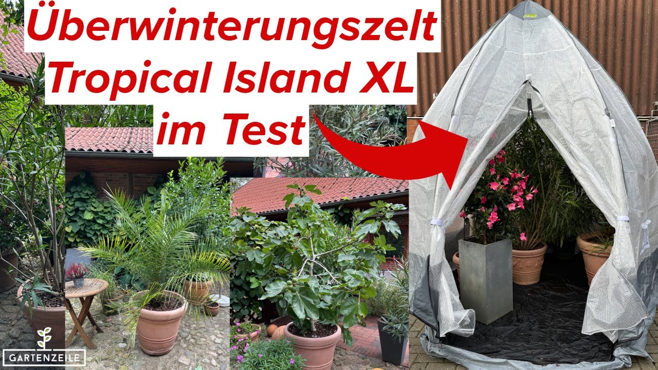 240 x 120 grow tent BudBox Pro XXL-R Loft (240cm 120cm x 180cm) Silver Outfit the GrowLab with Drössiger Limited Edition 9 Category:E Bikes MTB Cross Hardtail_Magura Louise  Hydr. Disc Brake (203) Verwendung für:R8S
