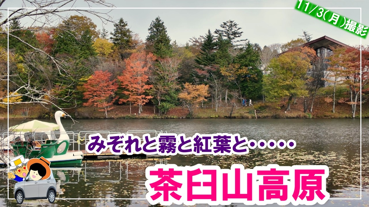 【紅葉Vlog】茶臼山高原へ紅葉を見にドライブ。みぞれと霧と紅葉と。変化に富んだ景色を堪能しました。