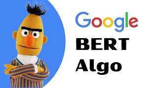 Google BERT Algorithm Update (গুগল বার্ট এলগো) | On Page SEO & Content Optimization Guide