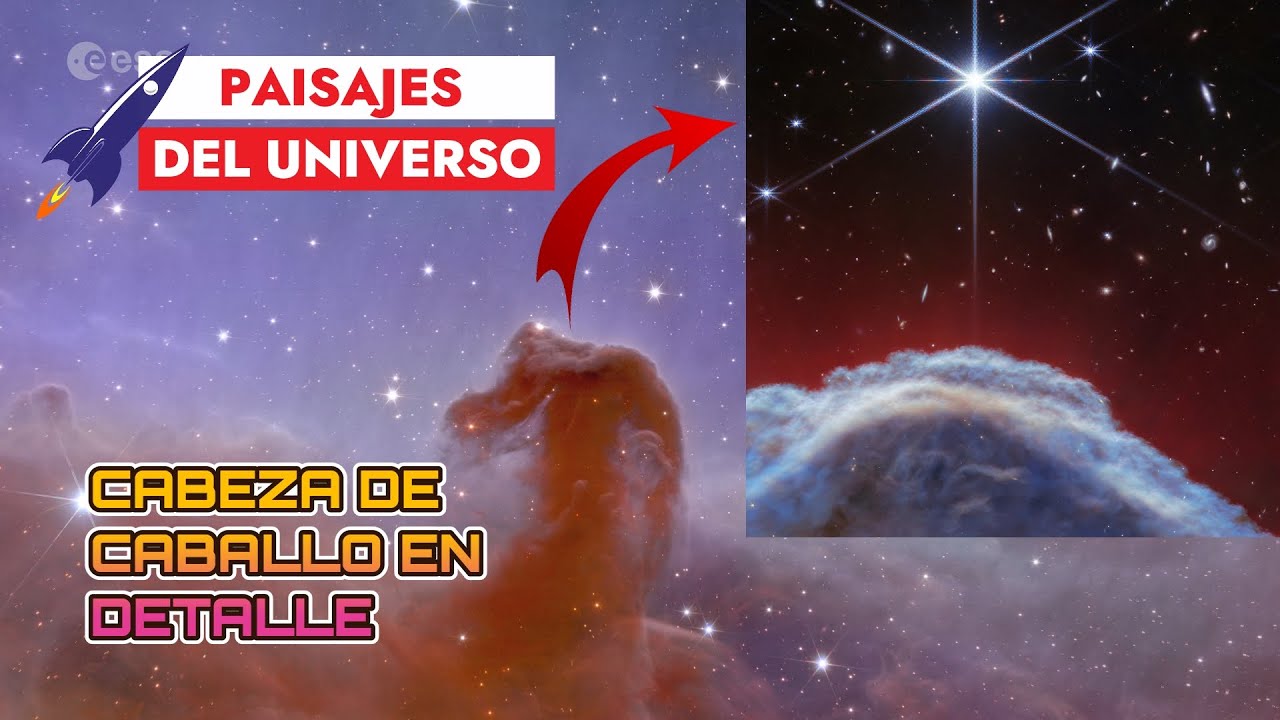 James Webb la Nebulosa CABEZA de CABALLO en extremo detalle #nasa - YouTube