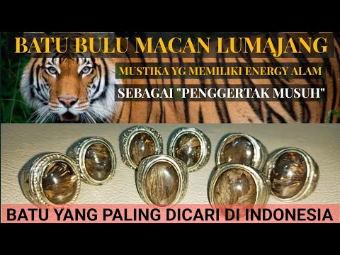 Cincin Batu Permata Bulu Monyet. 