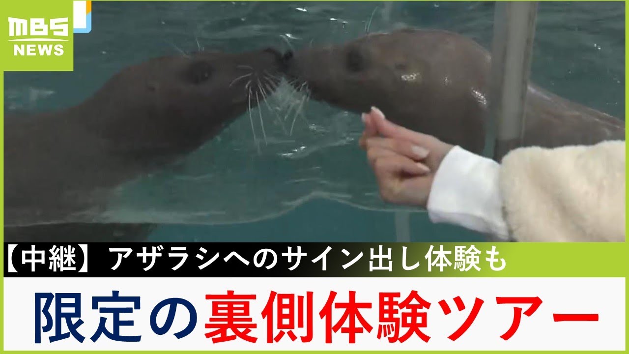 体験ツアーが充実「城崎マリンワールド」　アザラシたちにサイン出しも！普段は入れないエリアにドキドキ...リニューアルした『バックヤードツアー』【現場から生中継】（2024年2月22日）