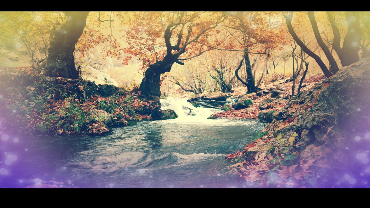 Koortjies-touching jesus is all that matters-saturate me in your anointing-maak toe onder die bloed