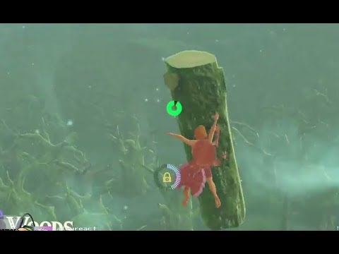 The tree that seeked revenge. Zelda: Breath of the Wild Speedrun Blooper