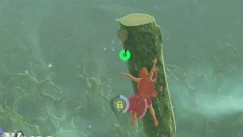 The tree that seeked revenge. Zelda: Breath of the Wild Speedrun Blooper