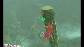 The tree that seeked revenge. Zelda: Breath of the Wild Speedrun Blooper