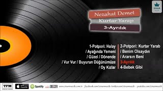 Nezahat Demet - Ayrılık Resimi