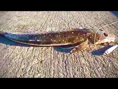 Surprised Catch at