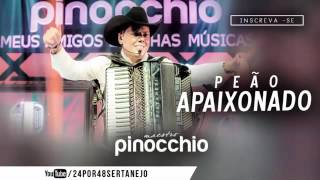 Maestro Pinocchio Feat - Rio Negro & Solimões - Peão Apaixonado