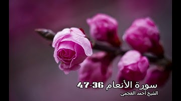 Surah AlAn'am 36 47 Sheikh Ahmed Al Agamy  سورة الأنعام 36 47 الشيخ أحمد العجمي