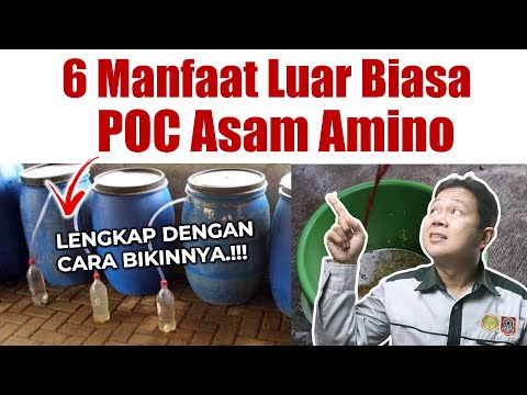 Video: Amonia: gunakan di kebun sebagai pupuk dan untuk pengendalian hama