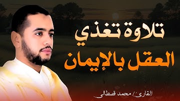 تلاوة رائعة بصوت القارئ محمد قصطالي | خشوع وجمال الأداء