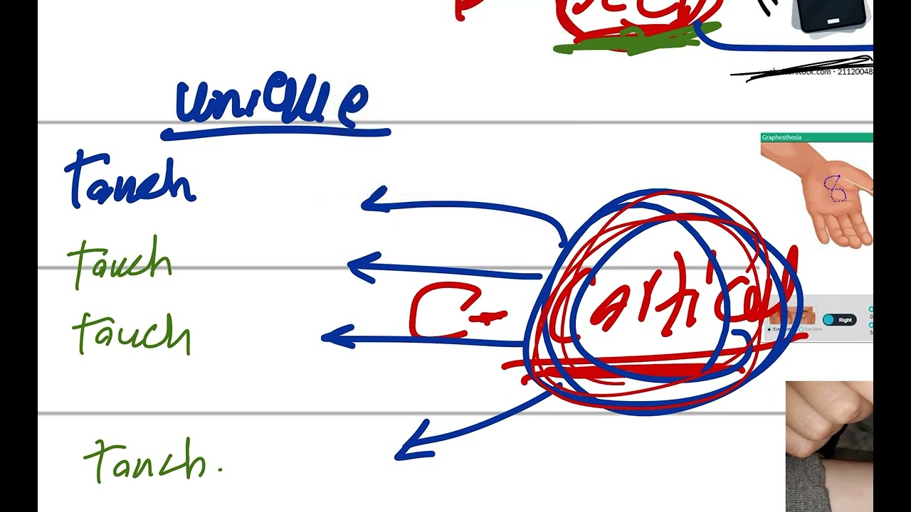Sensory system-Introduction part 1 