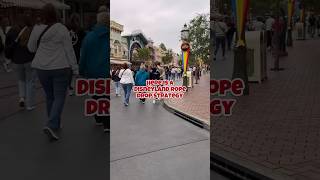 Disneyland rope drop strategy option 1!