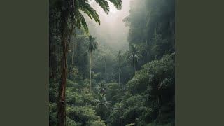 Echoes of Serenity