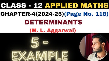 5 Example solution l Chapter 4 l DETERMINANTS l Class 12th Applied Maths l M L Aggarwal 2024-25