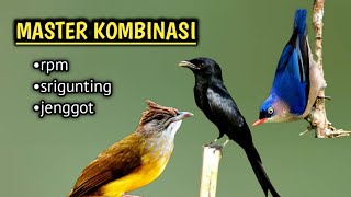 MASTERAN KOMBINASI MATERI RAMBATAN-SRIGUNTING-JENGGOT
