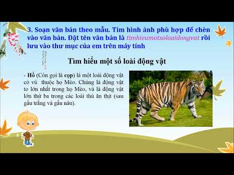Video Tin học lớp 4 | CĐ3. Bài 6: Luyện tập tổng hợp - YouTube