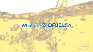 Renewable energy: Biofuels #biofuels #biodiesel #gearpump #vikingpump