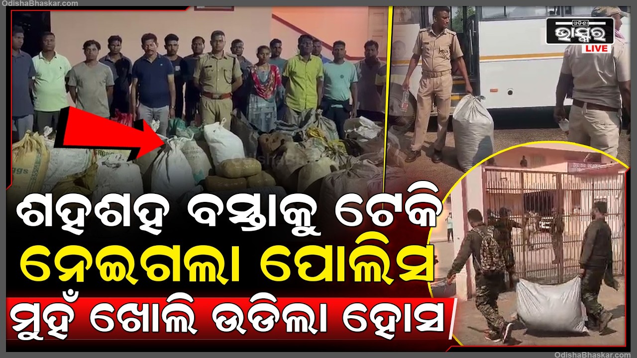 ଜଙ୍ଗଲ ଭିତରୁ କାବୁ କଲା ଶହଶହ ବସ୍ତା, ବସ୍ତା ଭିତରୁ ବାହାରିଲା ପୁଳା ପୁଳା, ପୋଲିସ ର ଉଡିଲା ହୋସ  I
