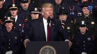President Trump's Drug Enforcement Administration Head Will Resign