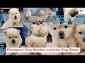 Cheapest Dog Market outside Dog Show || Kotakpura Dog show 2022 | Kotkapura Kennel Club | Chow Chow