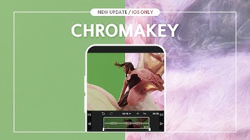 Finally!! VLLO chromakey updated for free!