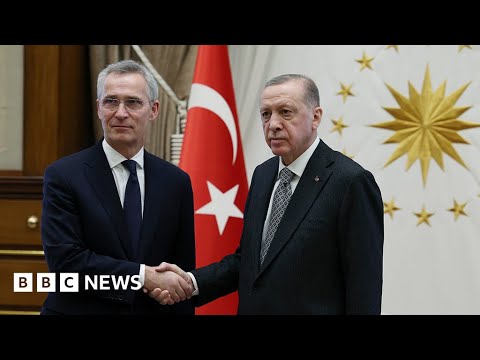 Nato chief calls on Turkey to ratify Sweden and Finland membership – BBC News