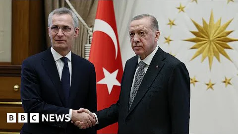 Nato chief calls on Turkey to ratify Sweden and Finland membership – BBC News - DayDayNews