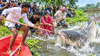 “Unbelievable! Giant 300 KG Catfish Catch Turns Into a Wild Fishing Battle!”